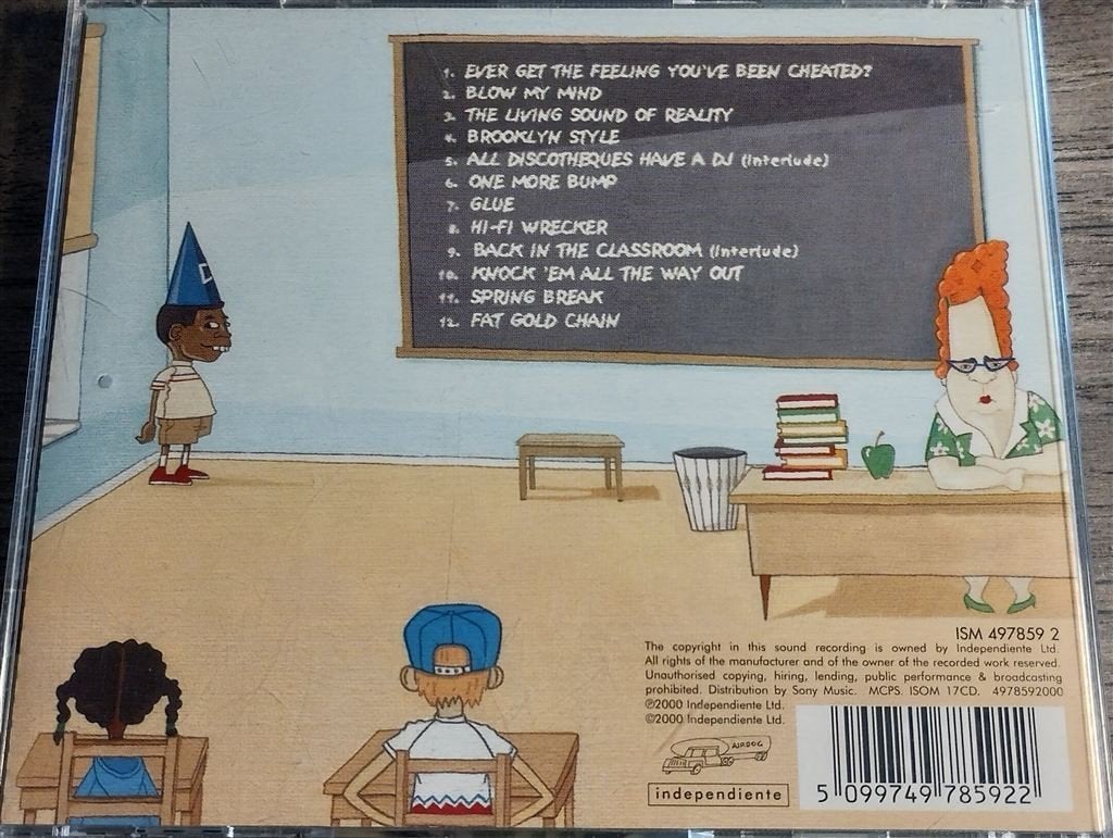 Deejay Punk-Roc ‎– Spoiling It For Everyone, Ophalen of Verzenden, Zo goed als nieuw, Disco