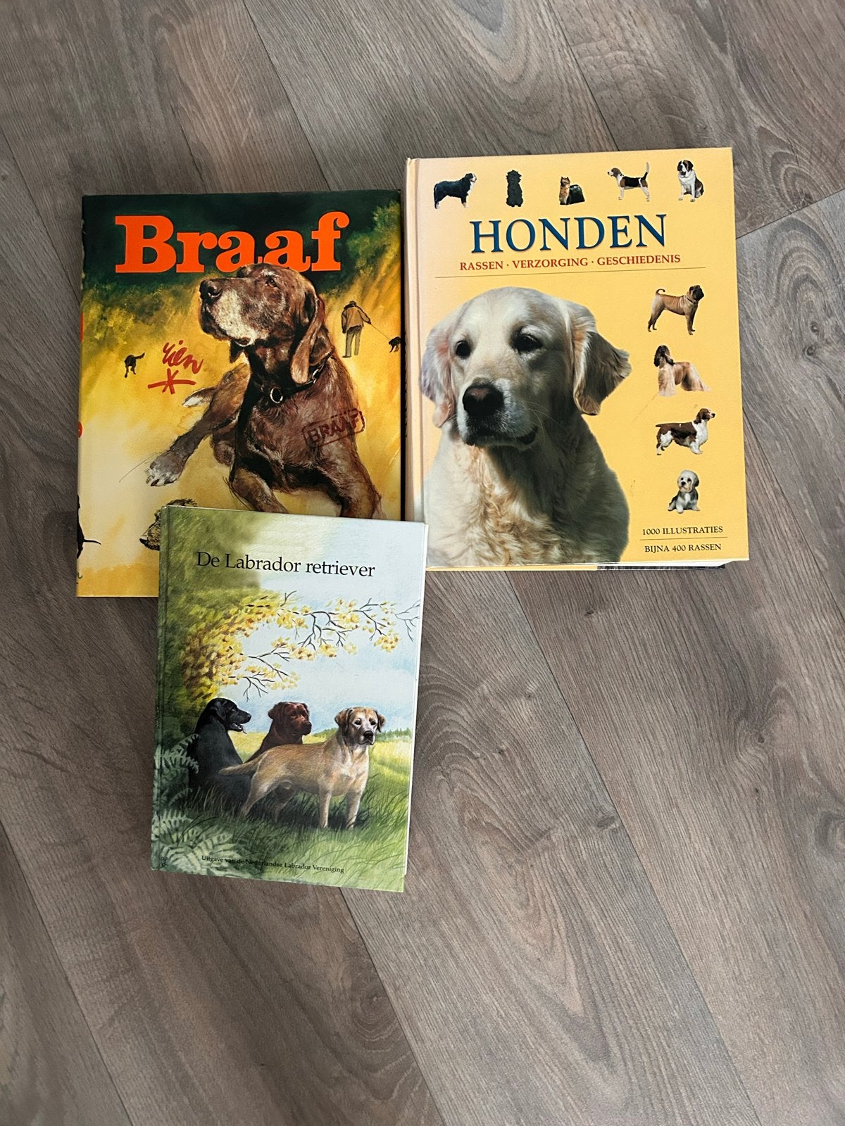 Hondenboeken: Braaf, Honden en De Labrador Retriever, Ophalen, Gelezen, Honden