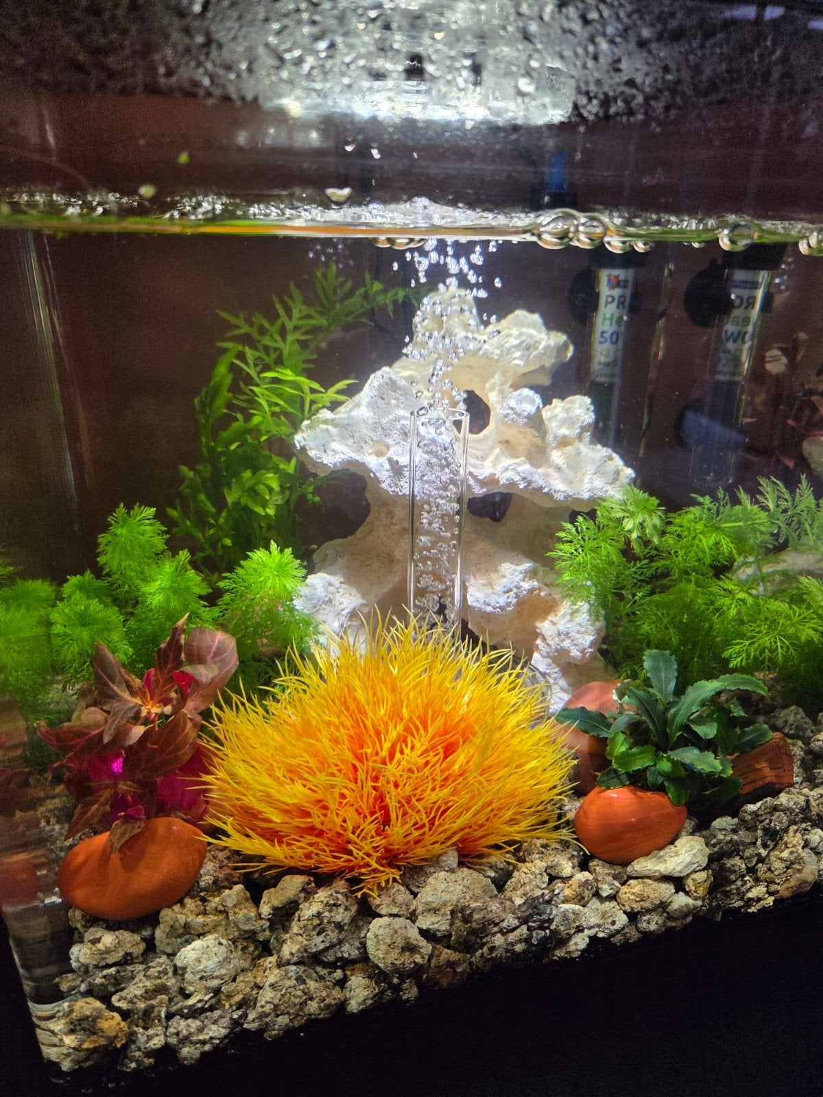 Biorb Cube 30Liter Zwart, Dieren en Toebehoren, Vissen | Aquaria en Toebehoren, Ophalen, Decoratie, Overige merken, Zo goed als nieuw