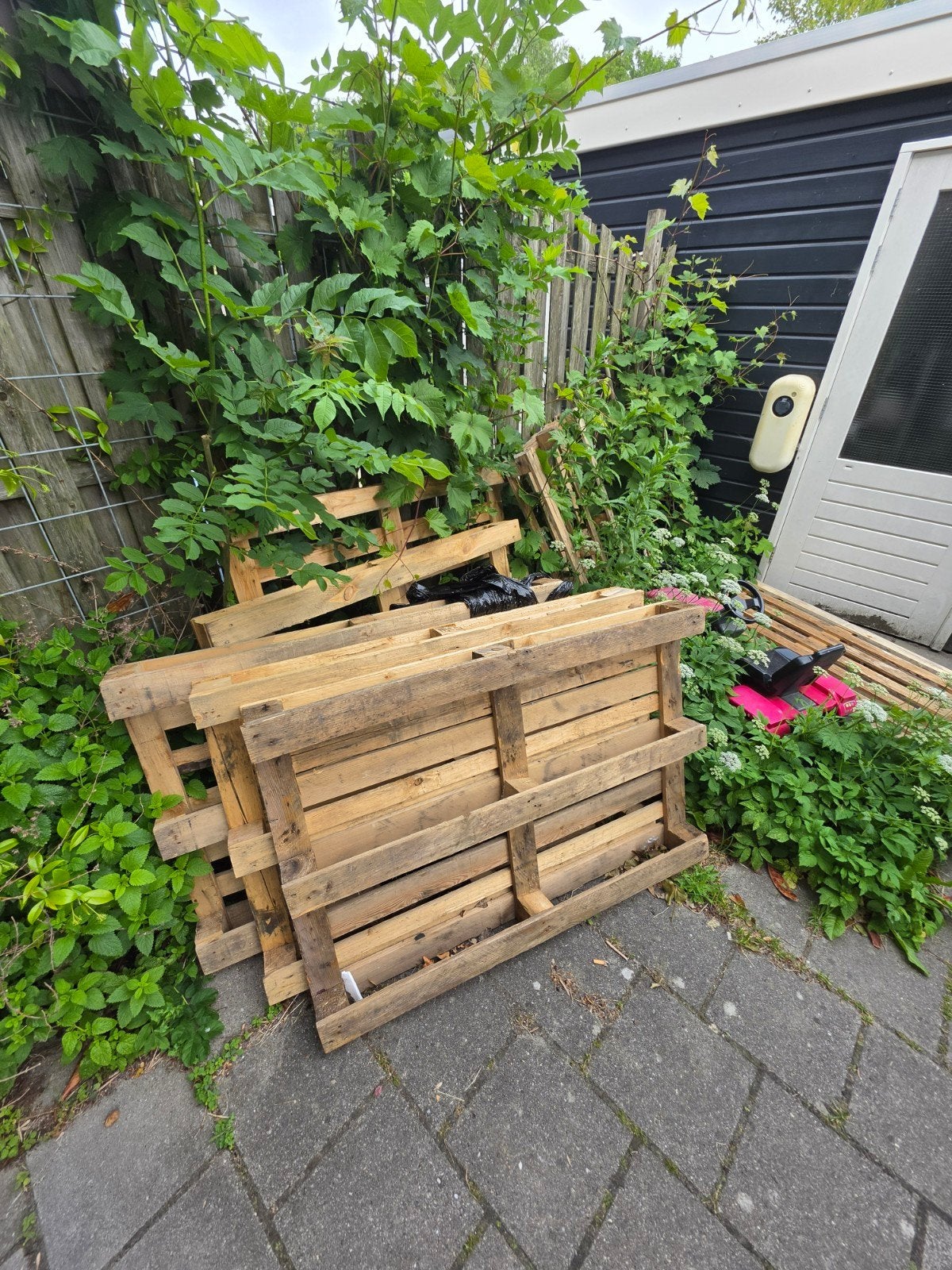 GRATIS PALLETS, Gebruikt, Ophalen of Verzenden, 50 mm of meer, Pallet