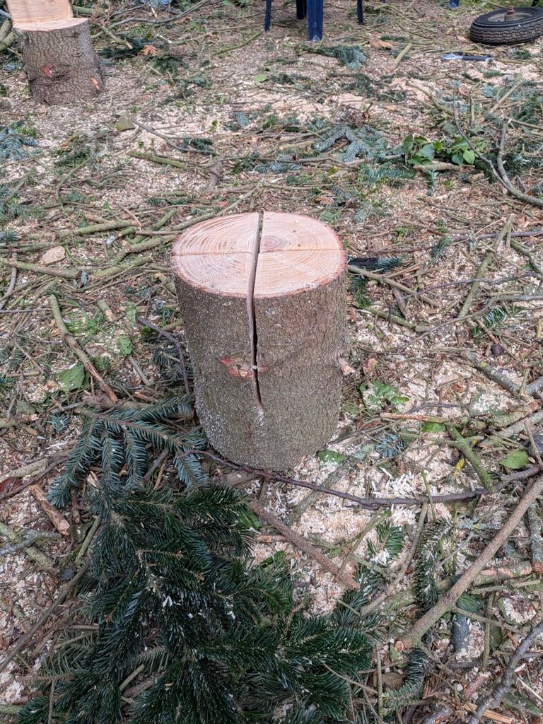 Fakkels dennenhout, Tuin en Terras, Haardhout, Minder dan 3 m³, Ophalen