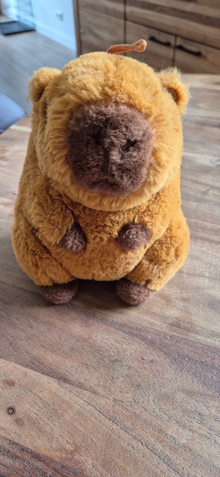 Schattige Capybara Knuffel - Zo goed als nieuw, Overige merken, Overige karakters, Overige typen, Ophalen of Verzenden