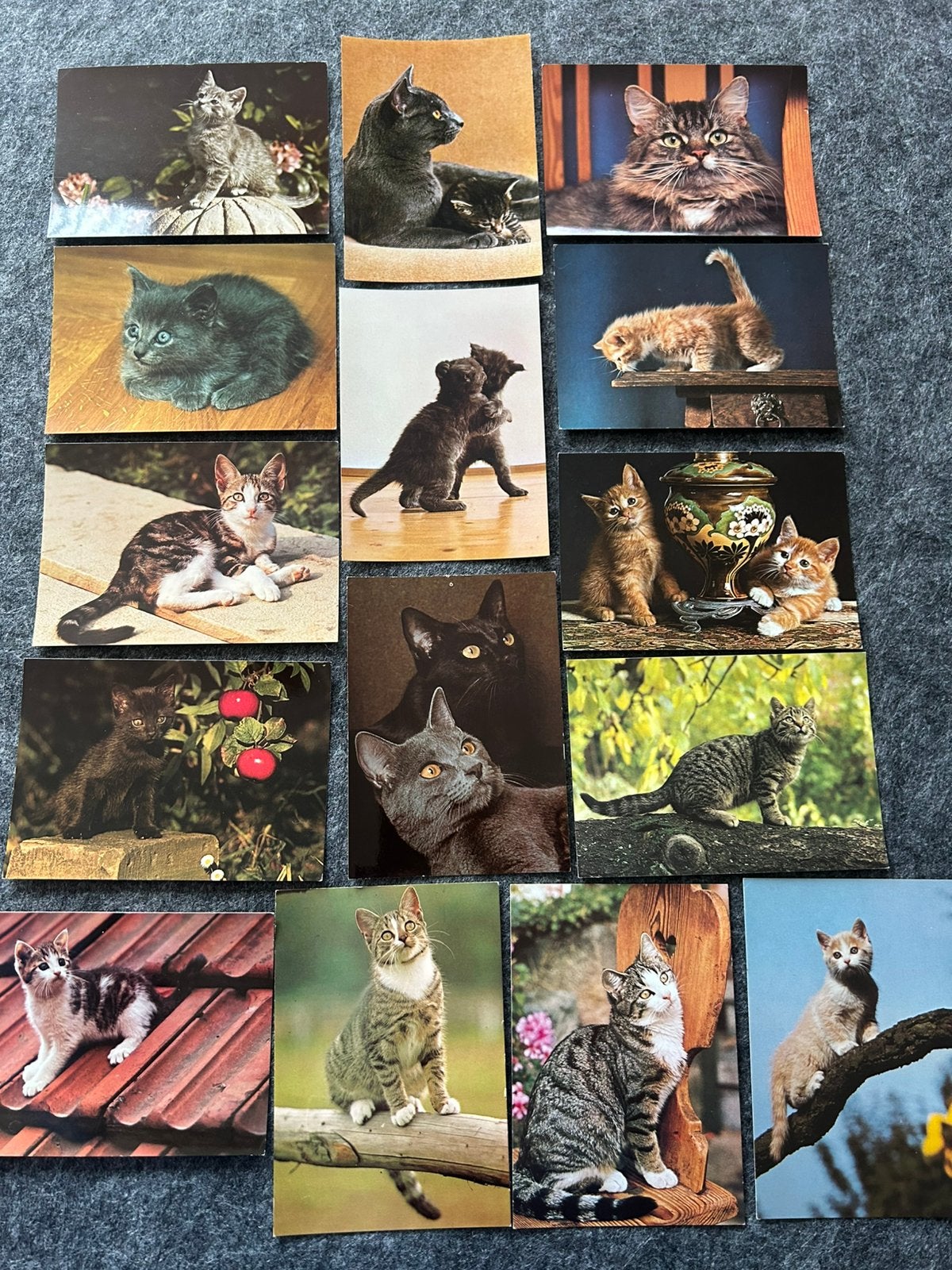 Retro ansicht kaarten van huiskatten - katten en kitten, Ophalen of Verzenden, Hond of Kat