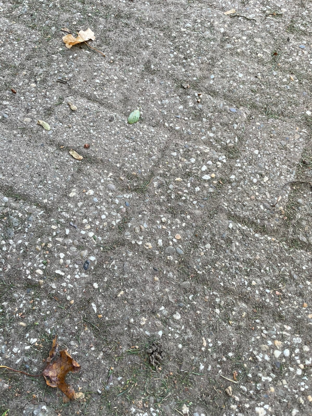 Gratis: > 100m2 stenen, Ophalen, Gebruikt, Klinkers, 10 m² of meer