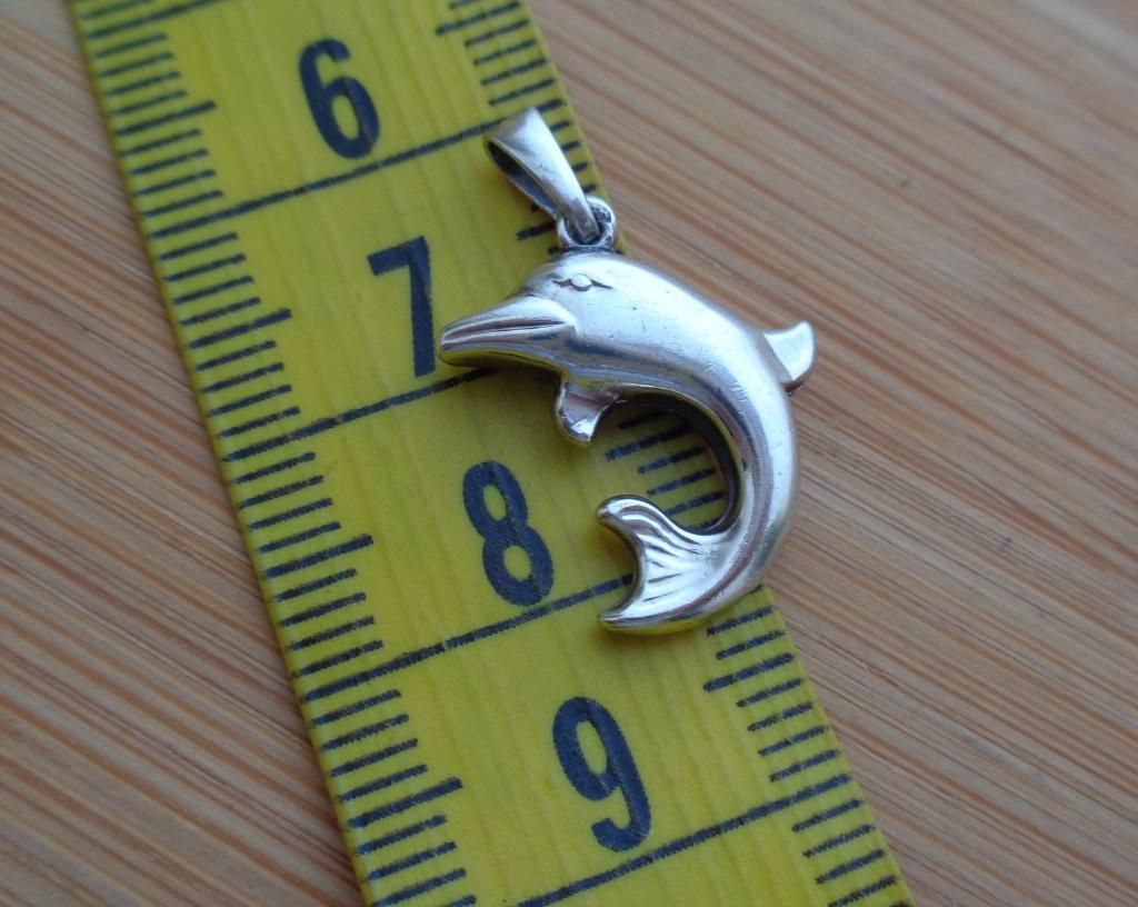 zilveren dolfijn hanger [831], Verzenden, Zo goed als nieuw, Zilver, Zilver