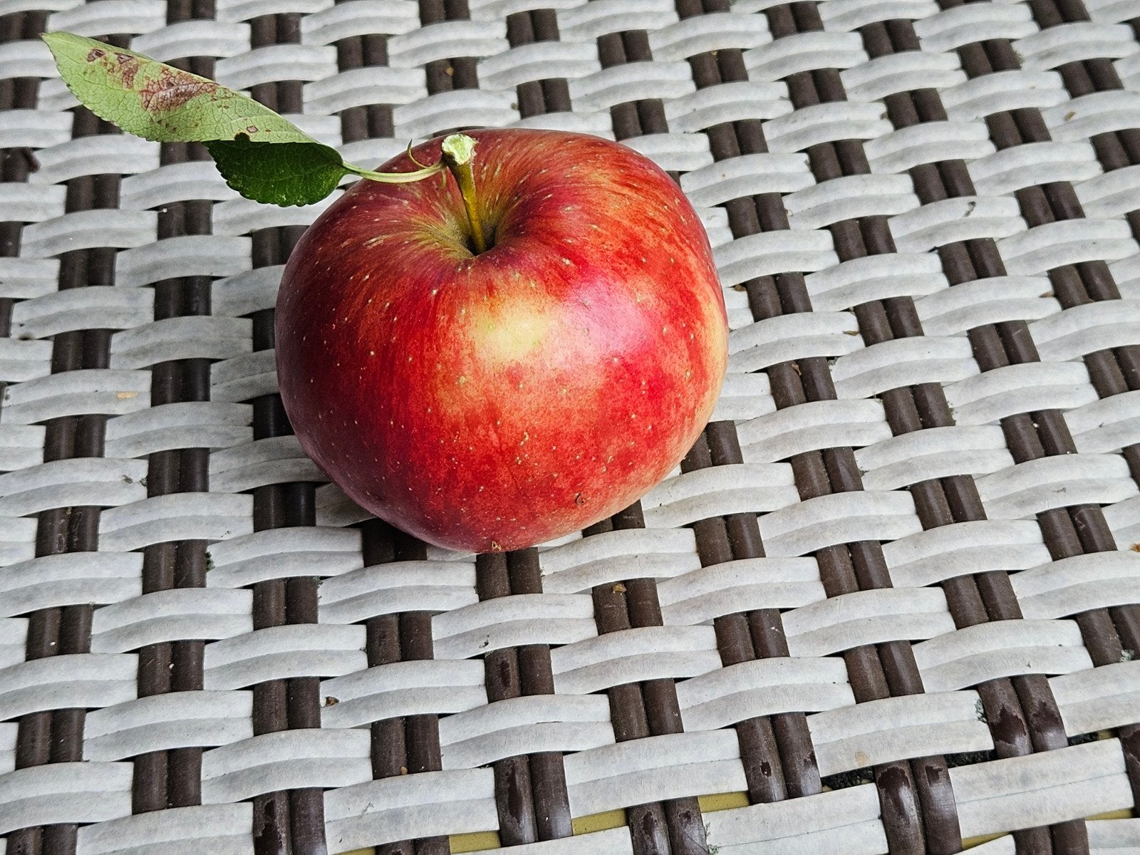 Verse appels uit eigen tuin: Colina's en Goudreinetten, Ophalen, Nieuw