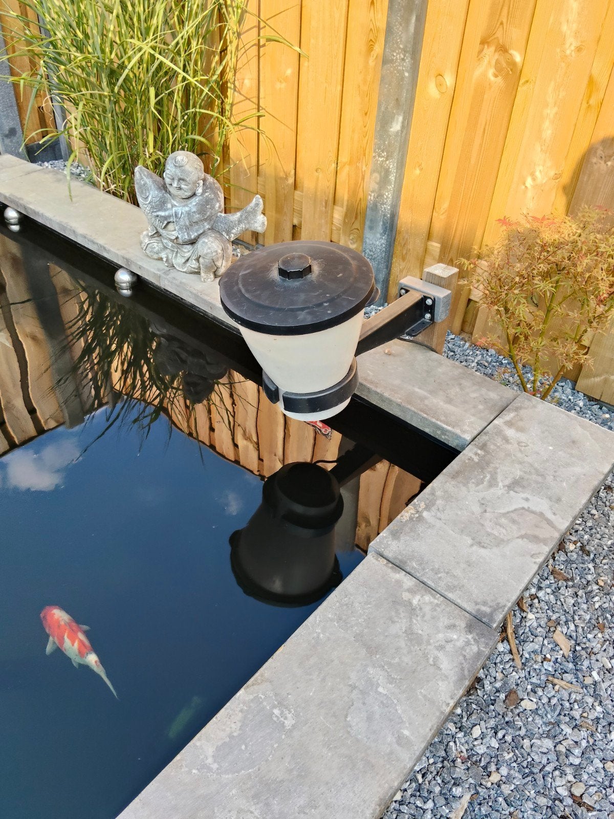 Complete Koivijver met vissen en filterinstallatie, Tuin en Terras, Vijvers, Ophalen