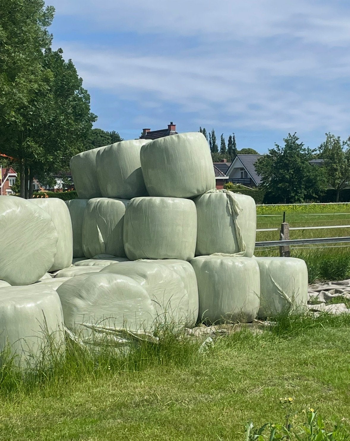 Midi hooibalen (paardenhooi), Dieren en Toebehoren, Ophalen, Vee