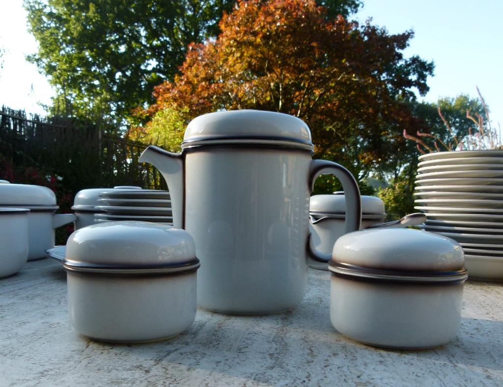Thomas Scandic Shadow Servies, Huis en Inrichting, Keuken | Servies, Nieuw, Ophalen of Verzenden, Wedgwood, Aardewerk