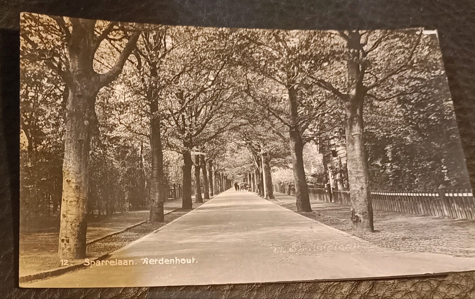 Aerdenhout. Sparrelaan. 1941, Verzenden, 1940 tot 1960, Gelopen, Noord-Holland