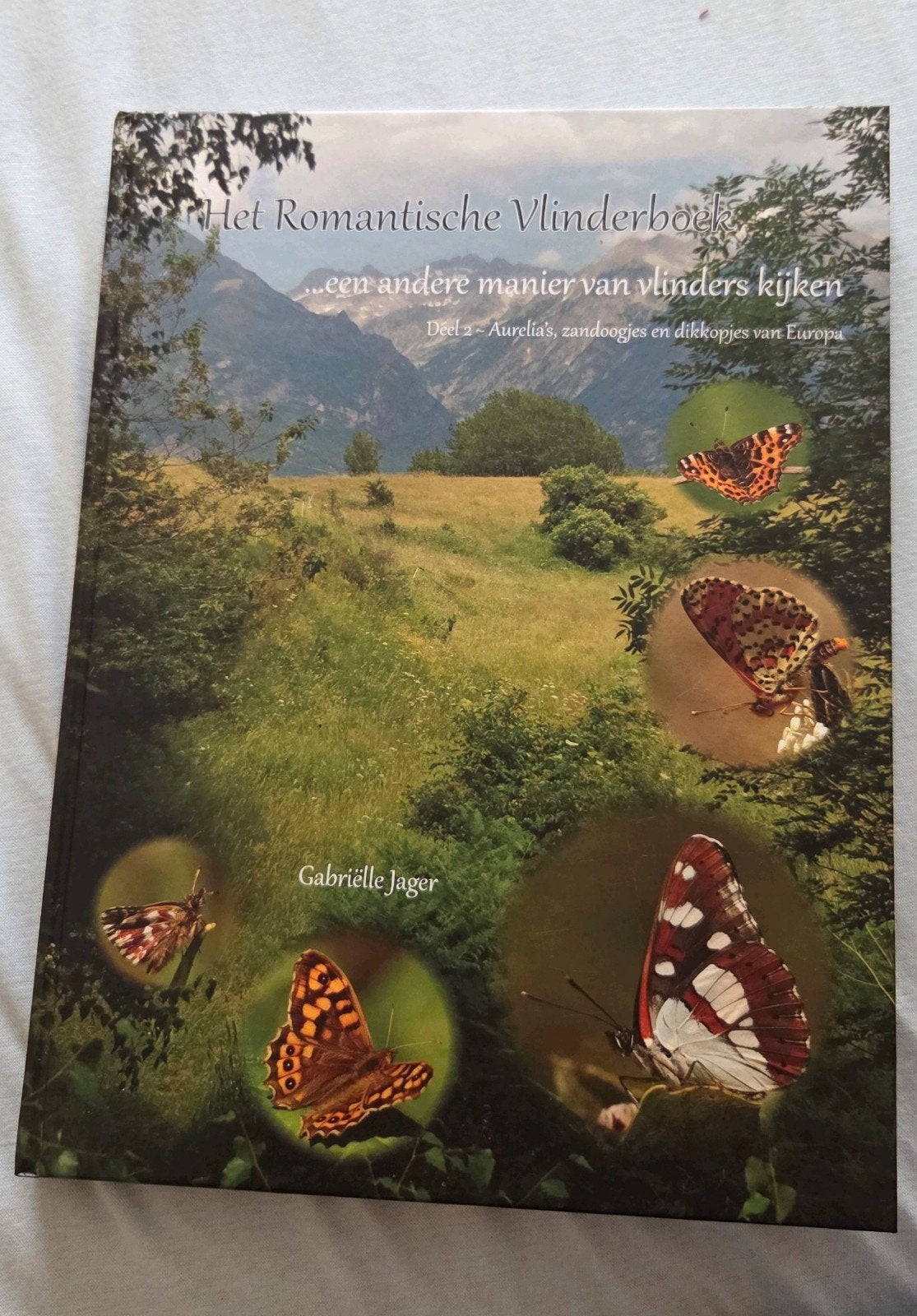 Het Romantische vlinderboek  deel 2, Nieuw, Ophalen of Verzenden, Gabrielle Jager, Overige onderwerpen