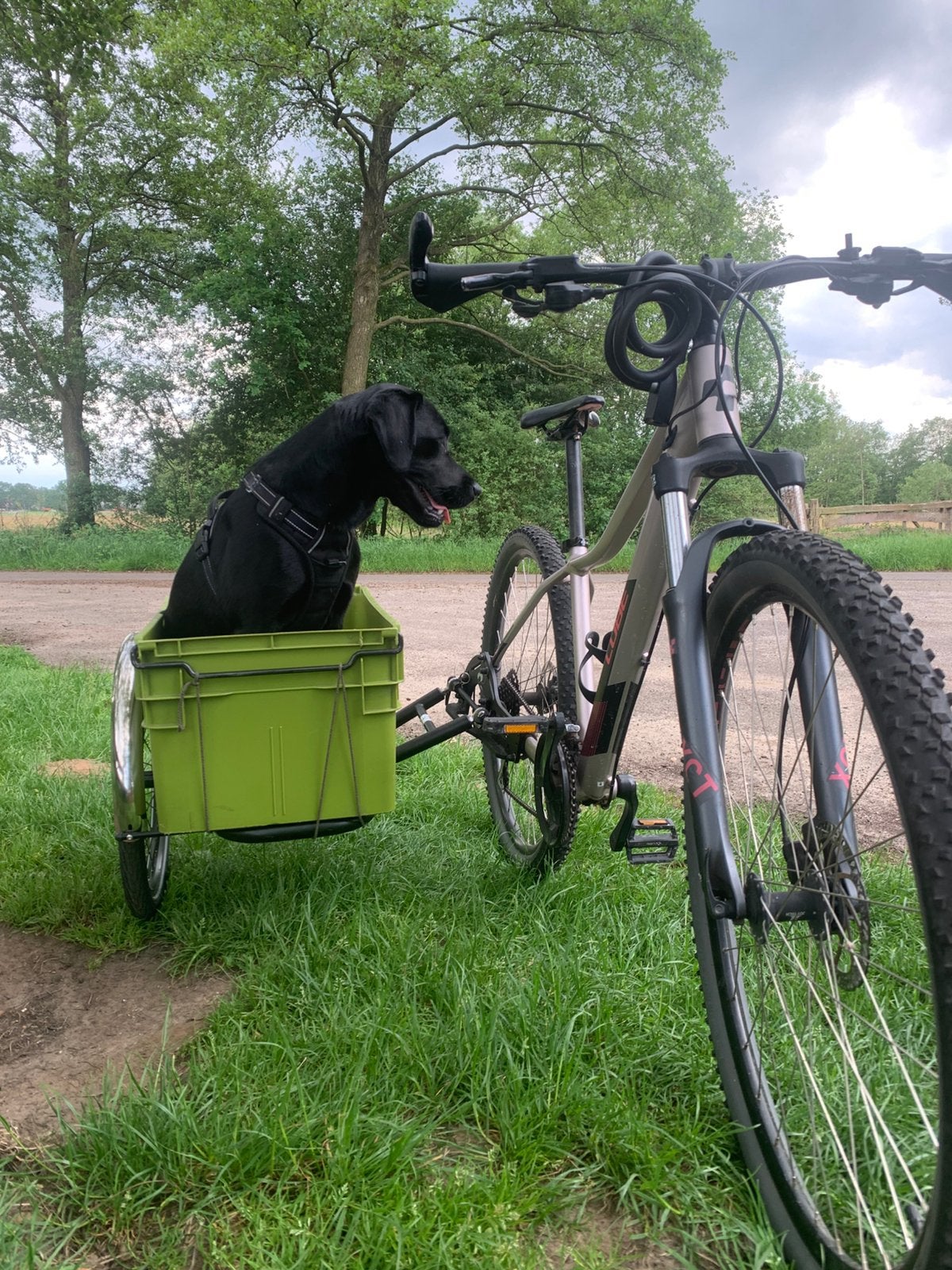 Fietszijspan Scandinavian Sidebike, Fietsen en Brommers, Fietsen | Bakfietsen, Zo goed als nieuw, 1 kind, Ophalen