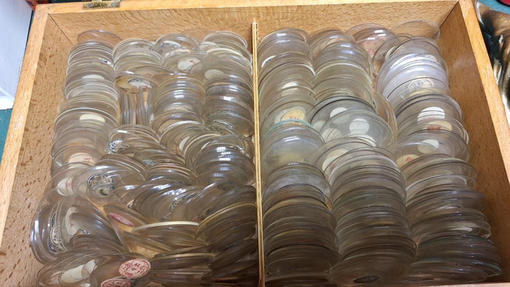 Grote partij zak horloge glazen, Verzenden