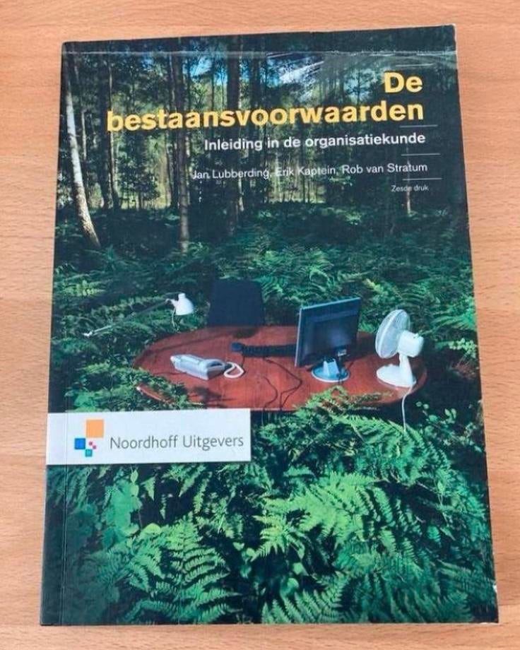 LUBBERDING KAPTEIN van STRATUM - De bestaansvoorwaarden, Boeken, Ophalen of Verzenden, Alpha, Zo goed als nieuw, HBO
