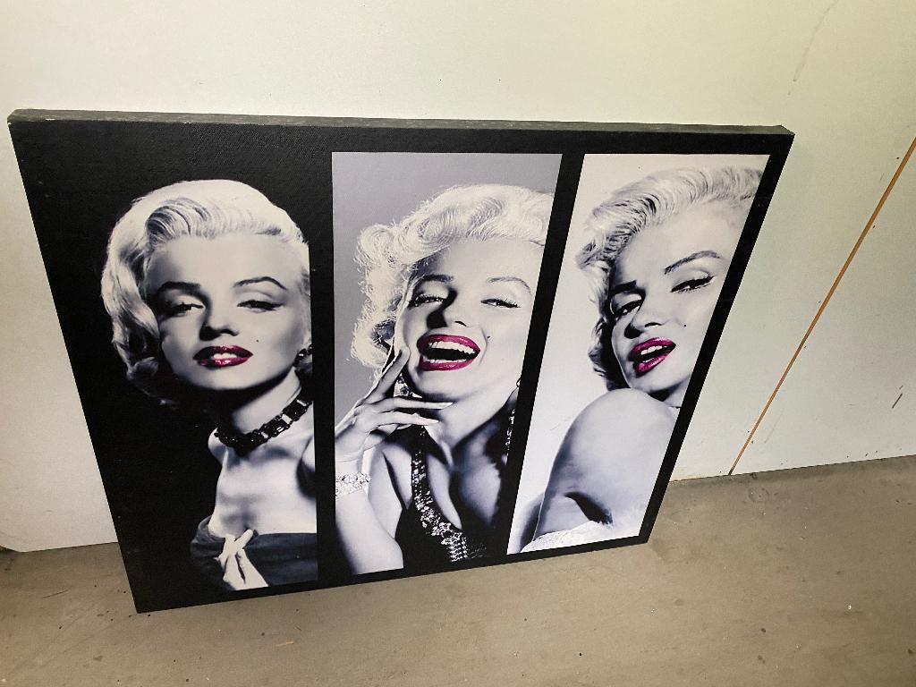 Canvas schilderij, Gebruikt, 50 tot 75 cm, Overige typen, Ophalen of Verzenden