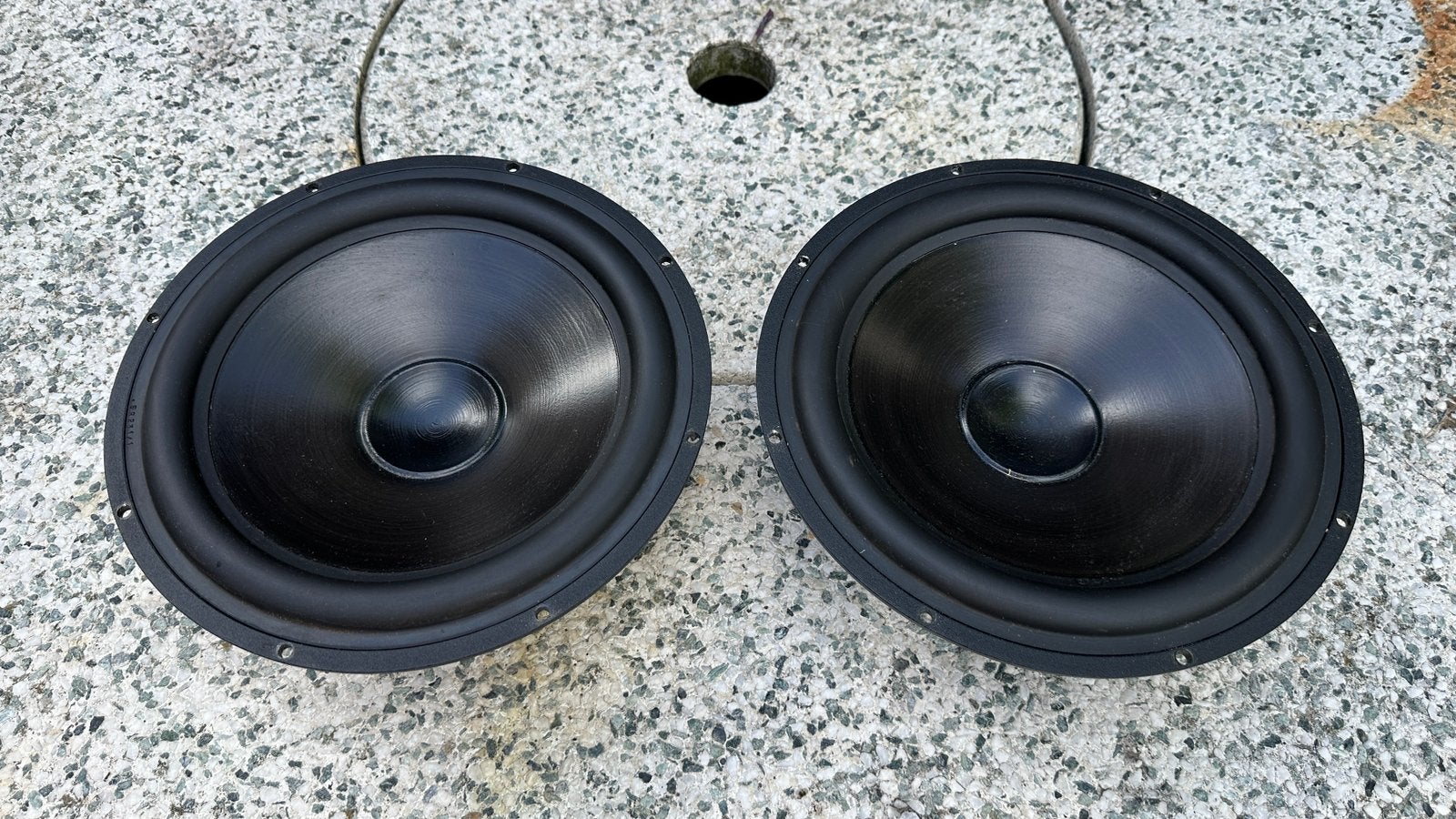 Twee stuks Seas 25 cm woofers CA25REX/DD-P, Audio, Tv en Foto, Luidsprekers, Ophalen, Zo goed als nieuw, Overige merken