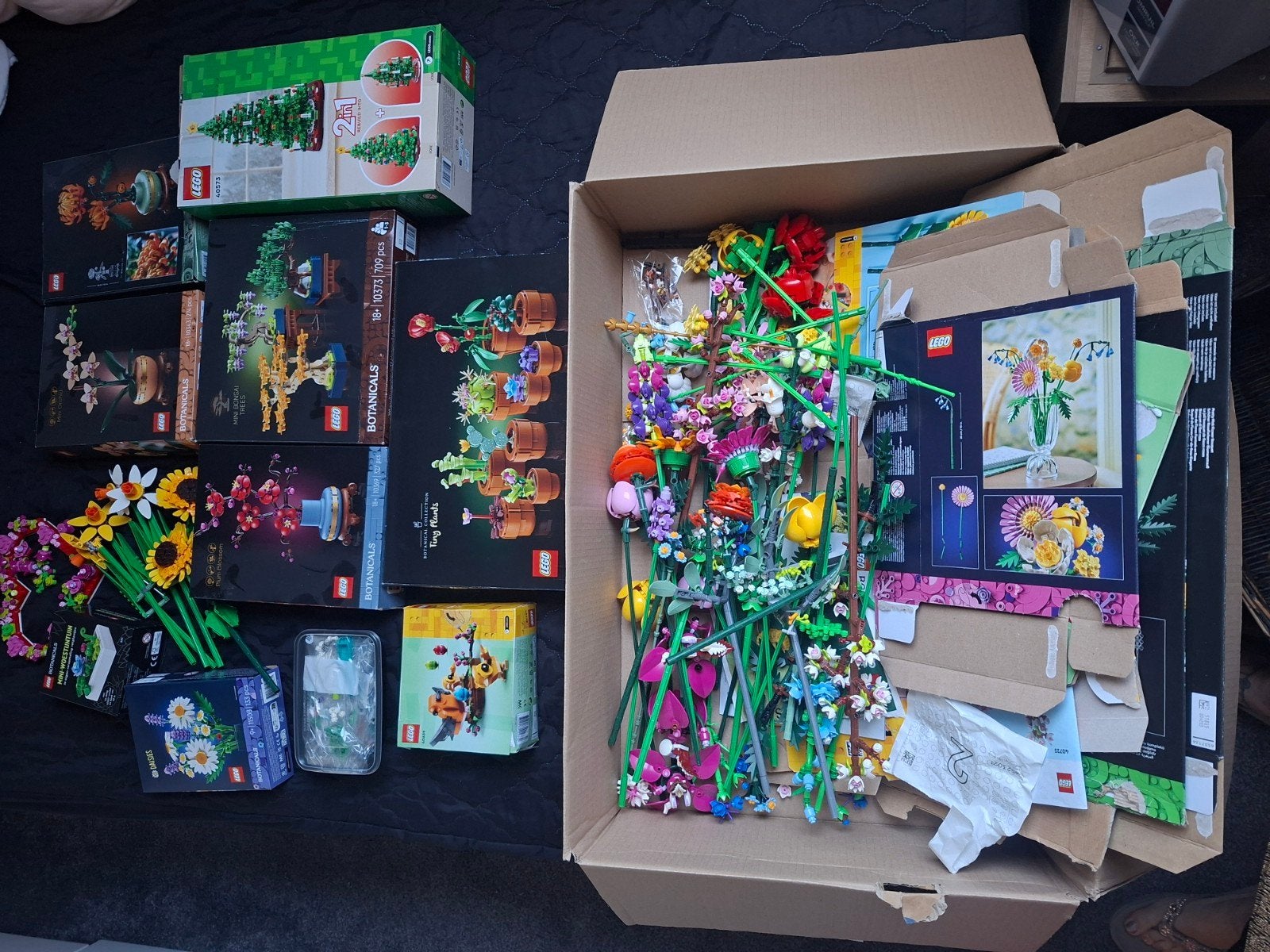 Assortiment LEGO Botanicals sets kerst boom .