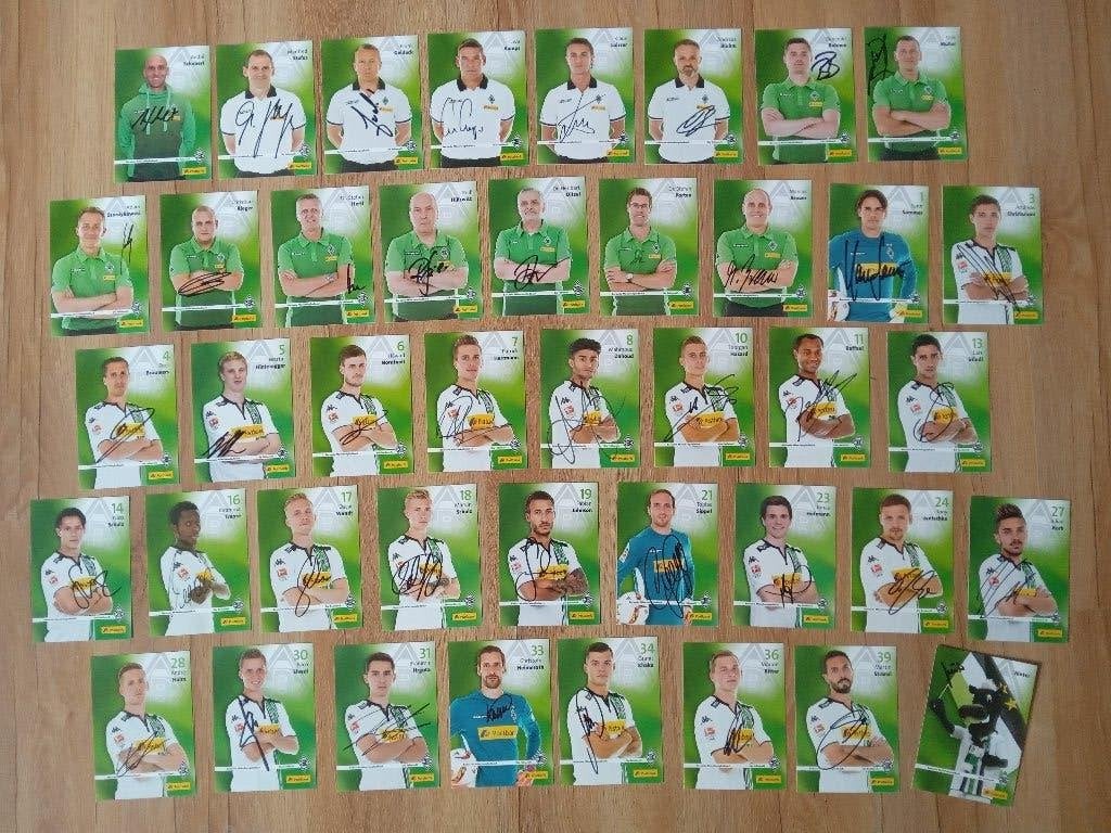 Gesigneerde 2014-'15 spelerskaarten Borussia Mönchengladbach, Ophalen of Verzenden, Nieuw, Buitenlandse clubs, Spelerskaart