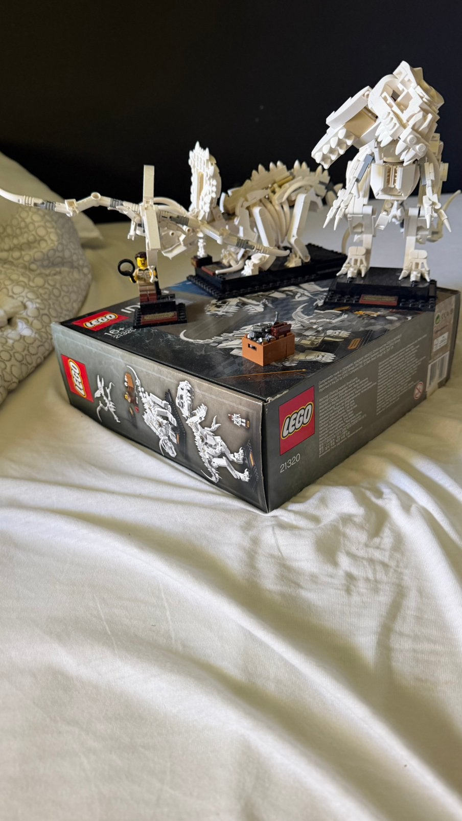 Lego dino 21320 ideas, Ophalen of Verzenden, Zo goed als nieuw