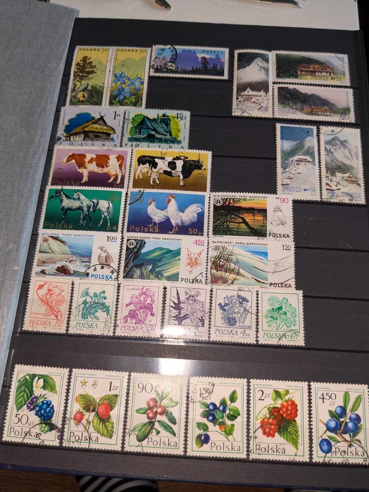 Collectie Poolse postzegels - Diverse thema's, Postzegels en Munten, Ophalen of Verzenden