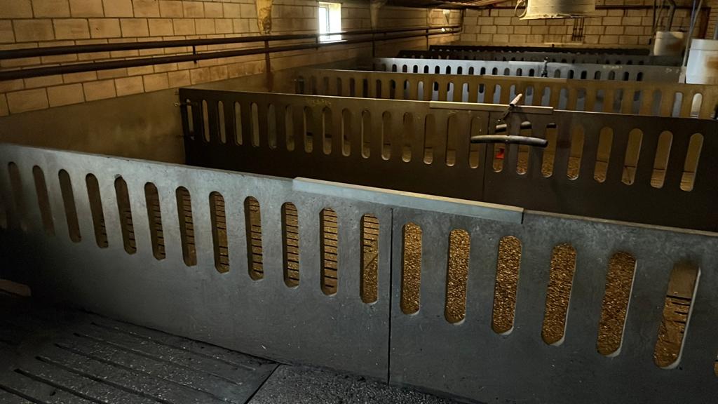 Beton tussen wand, Dieren en Toebehoren, Stalling en Weidegang