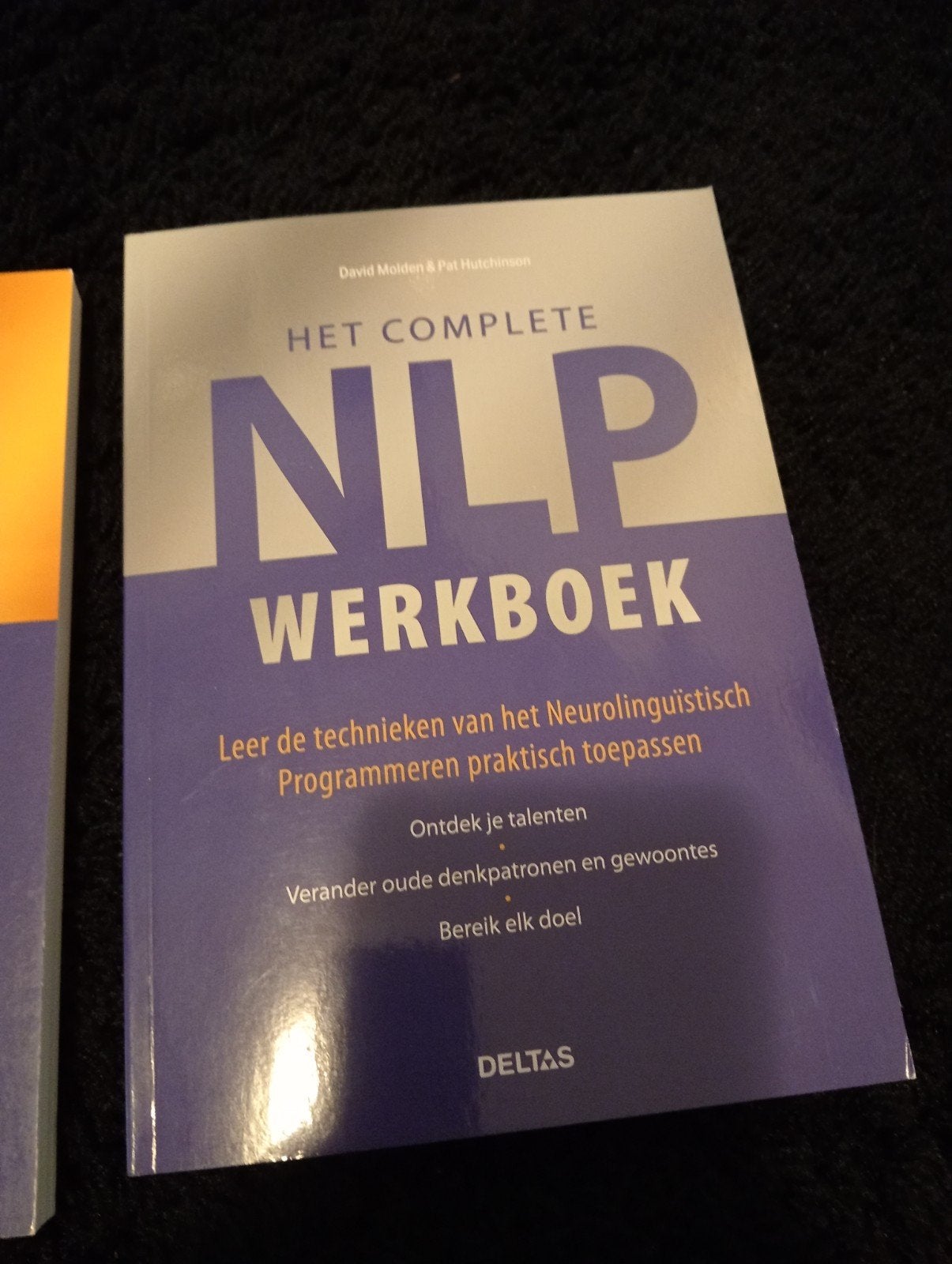 David Molden - Het complete NLP werkboek, Boeken, Ophalen of Verzenden, Zo goed als nieuw, David Molden; Pat Hutchinson