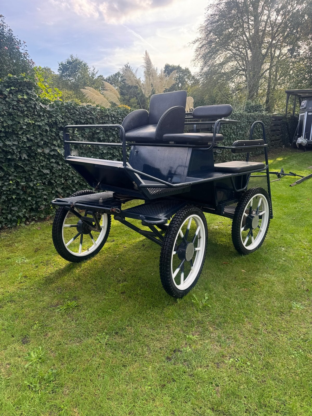 Marathonwagen/menwagen, Gebruikt, Marathonwagen, Paard