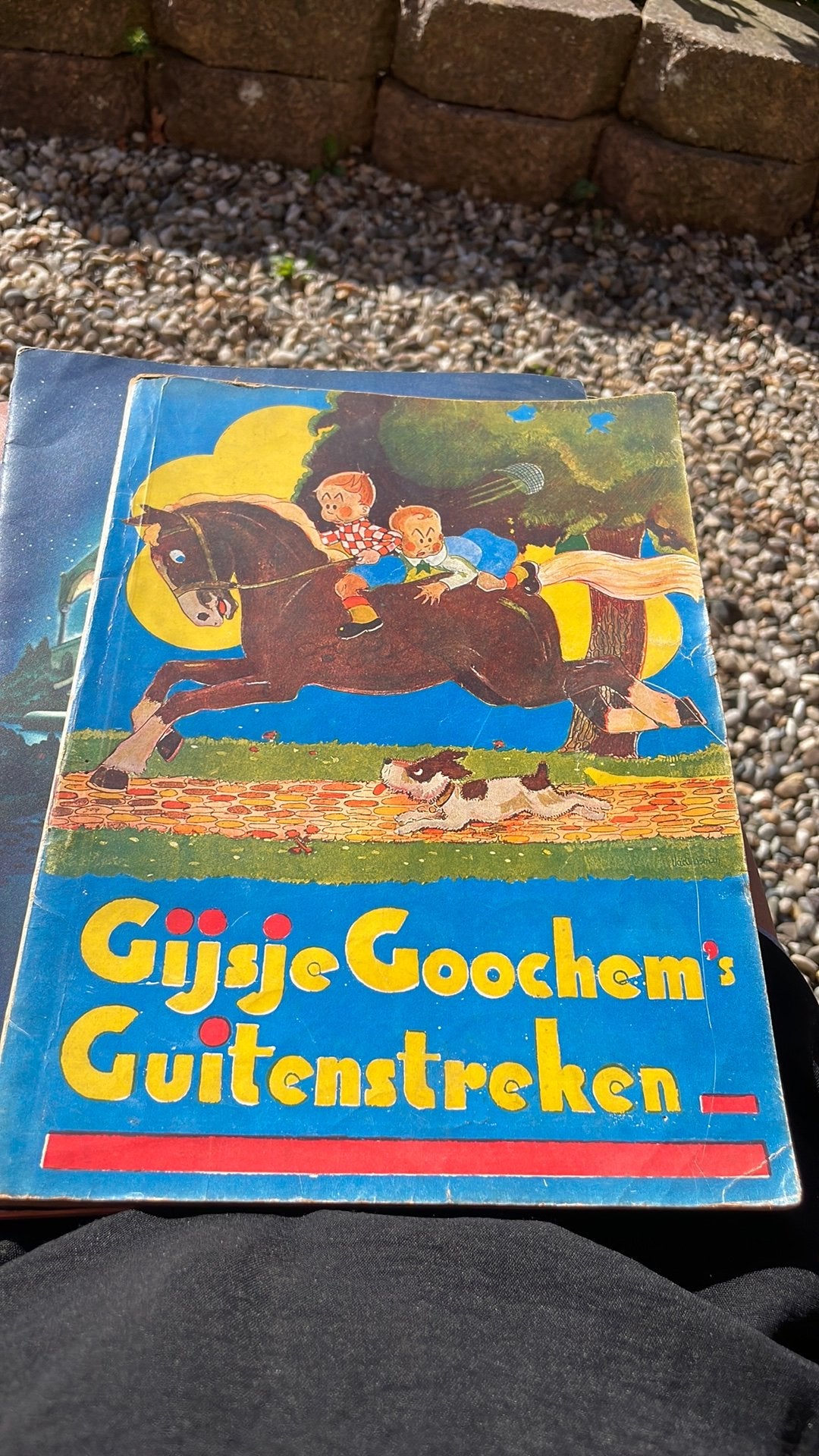 Gijsje Goochem, Ophalen of Verzenden, Zo goed als nieuw