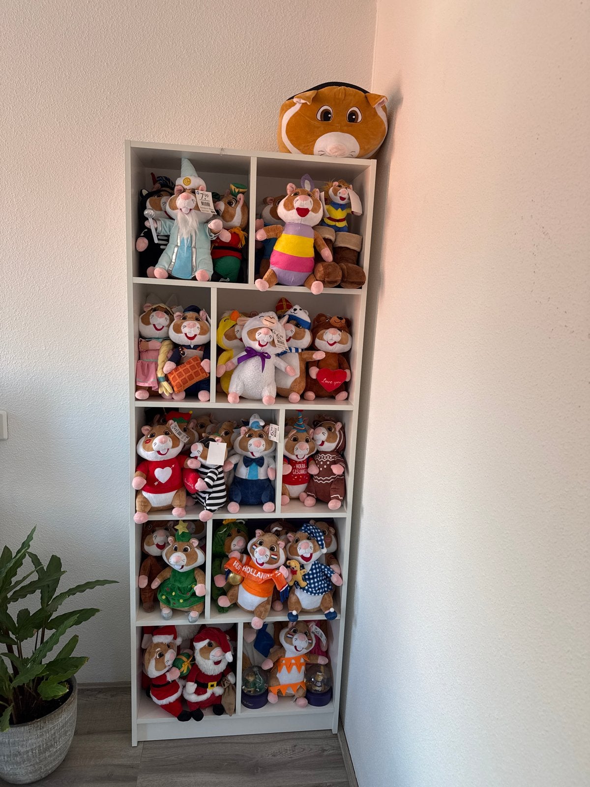 Grote collectie Hamster knuffels - diverse uitvoeringen ah, Ophalen, Hamster, Middelgroot (20 tot 80 cm), Meerkleurig