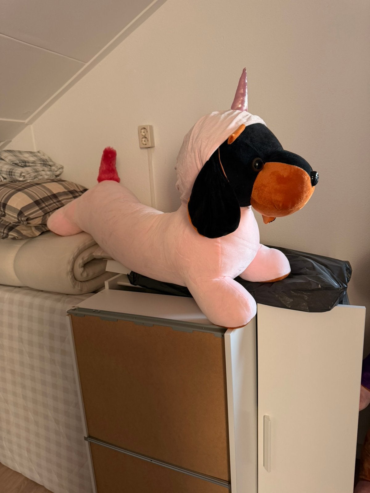 Grote knuffel teckel, Ophalen, Overige typen