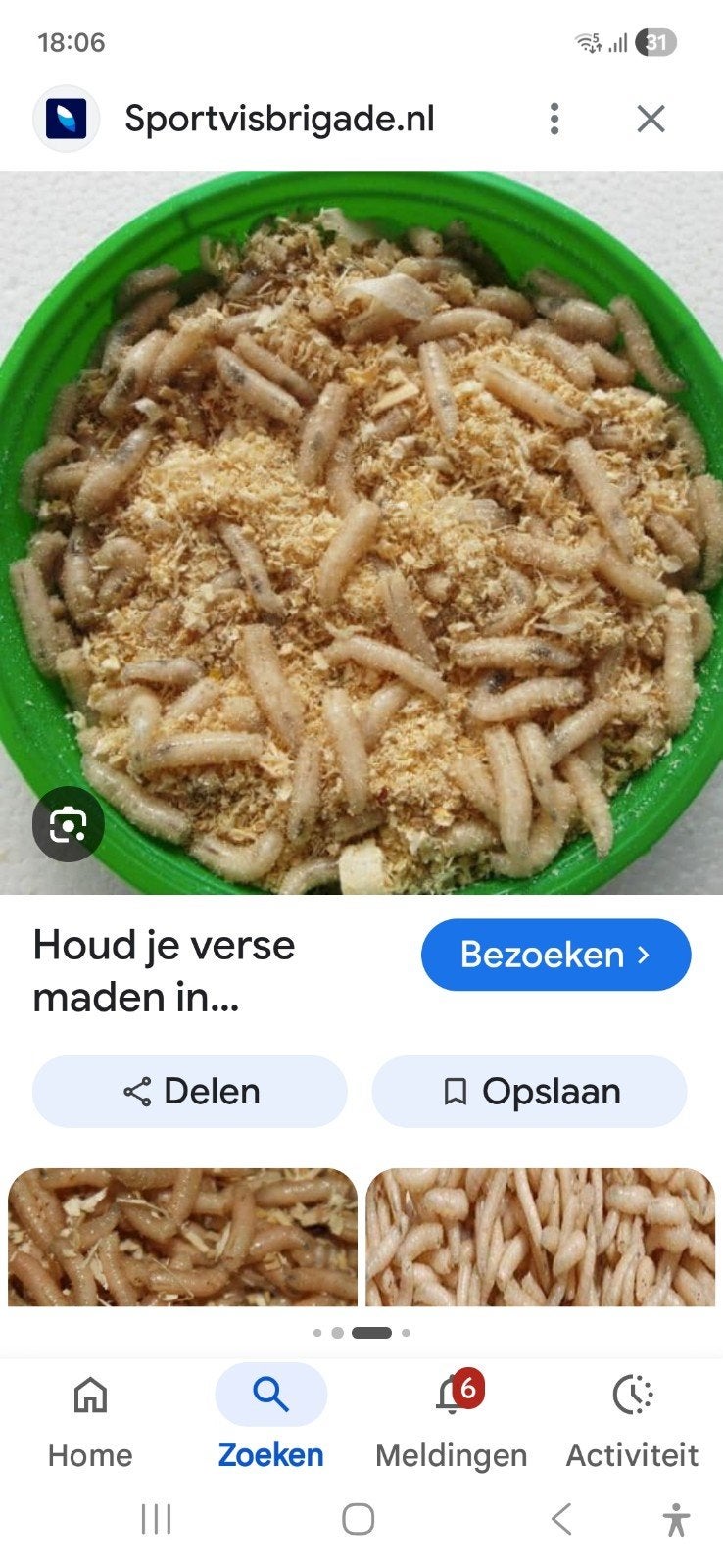 Verse maden voor vissen gezocht., Ophalen of Verzenden