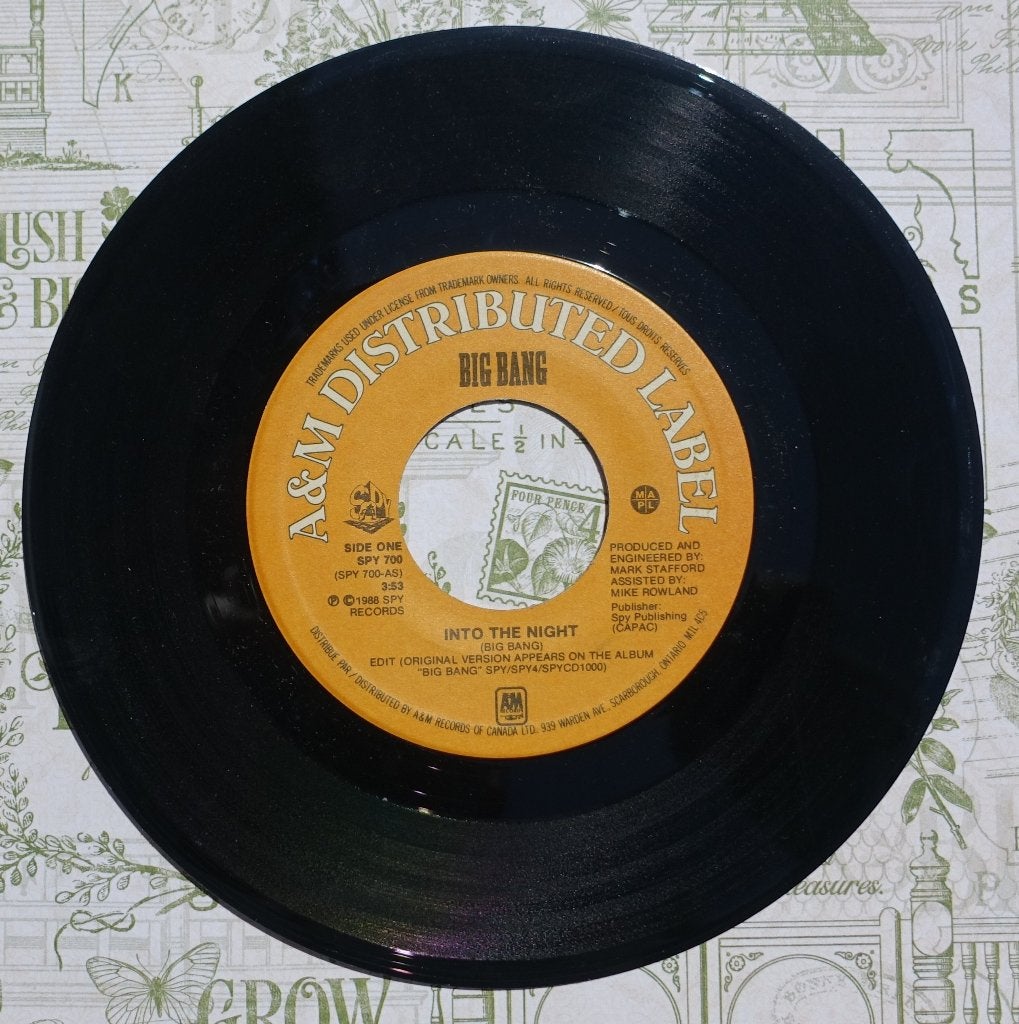 Big Bang - Into The Night (1988) 7 inch single  (2), Beschermende buitenhoes, Ophalen of Verzenden, Gebruikt, Pop