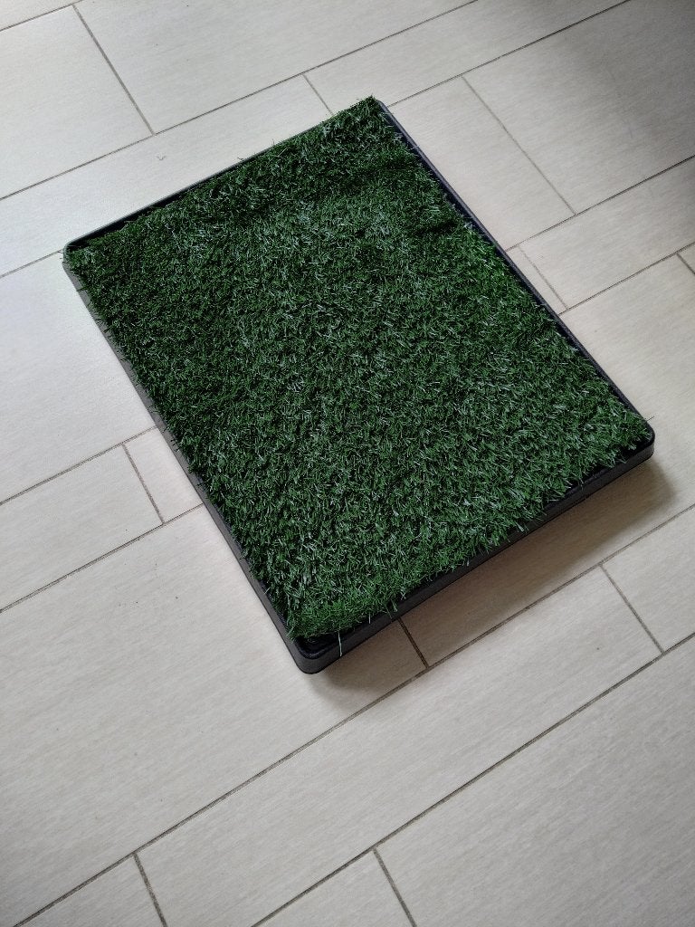Hondentoilet nieuw €10,-, Dieren en Toebehoren, Ophalen, Nieuw, Overige typen