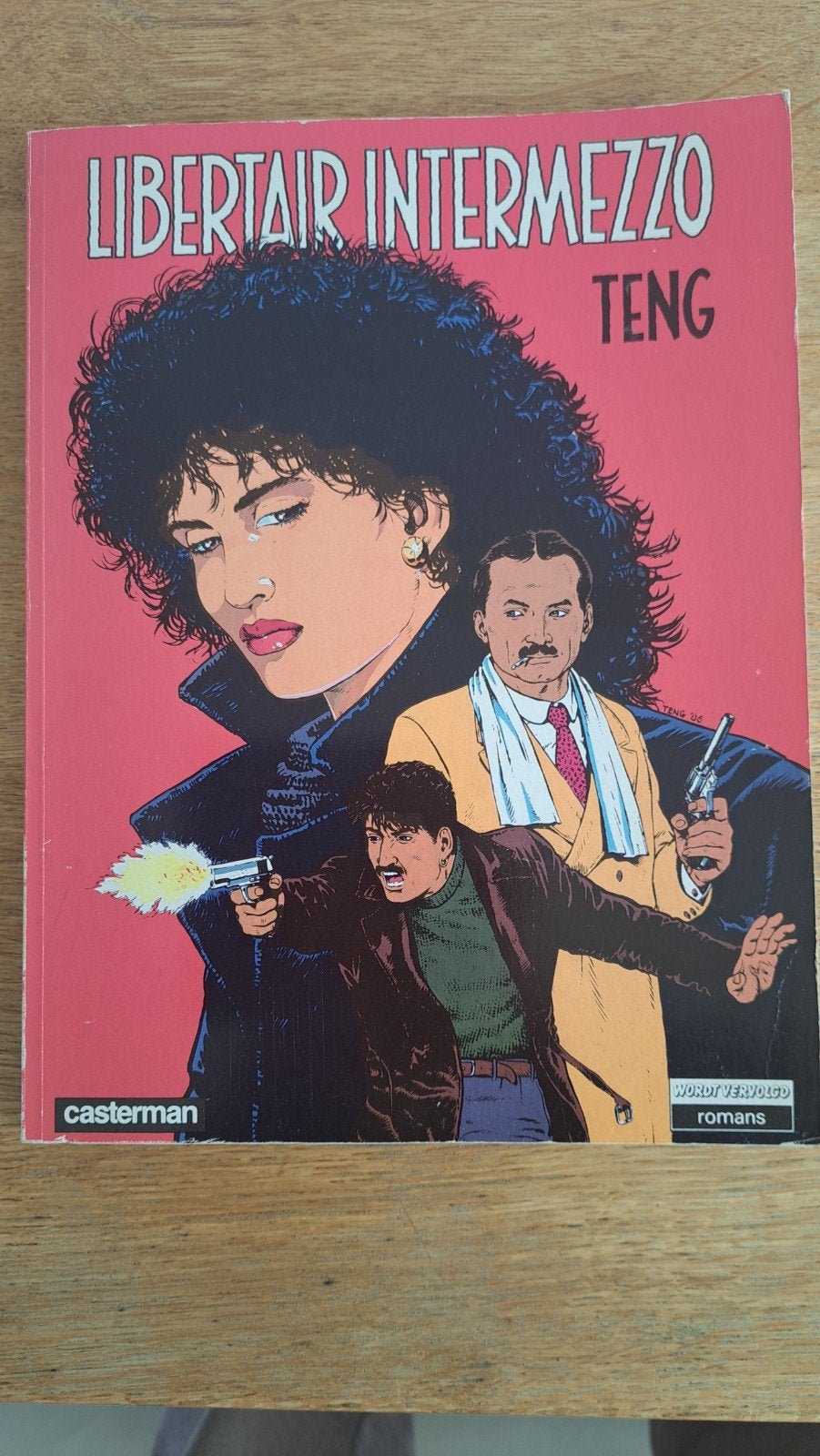 Libertair Intermezzo - Teng - Casterman Wordt Vervolgd, Ophalen of Verzenden, Gelezen, Teng, Nederland