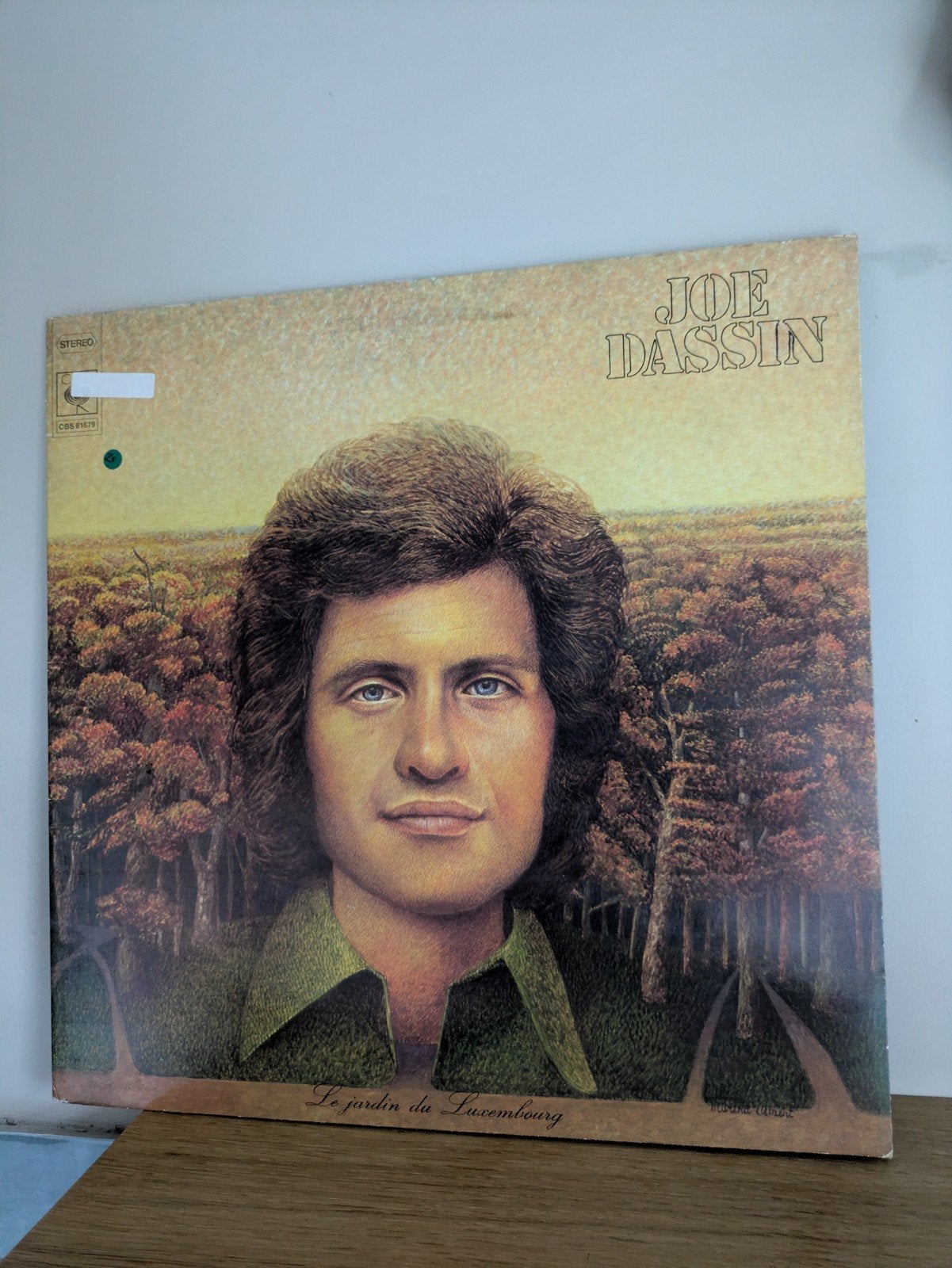 Lp Joe Dassin • Le Jardin de Luxembourg, Ophalen of Verzenden, Zo goed als nieuw, 12 inch