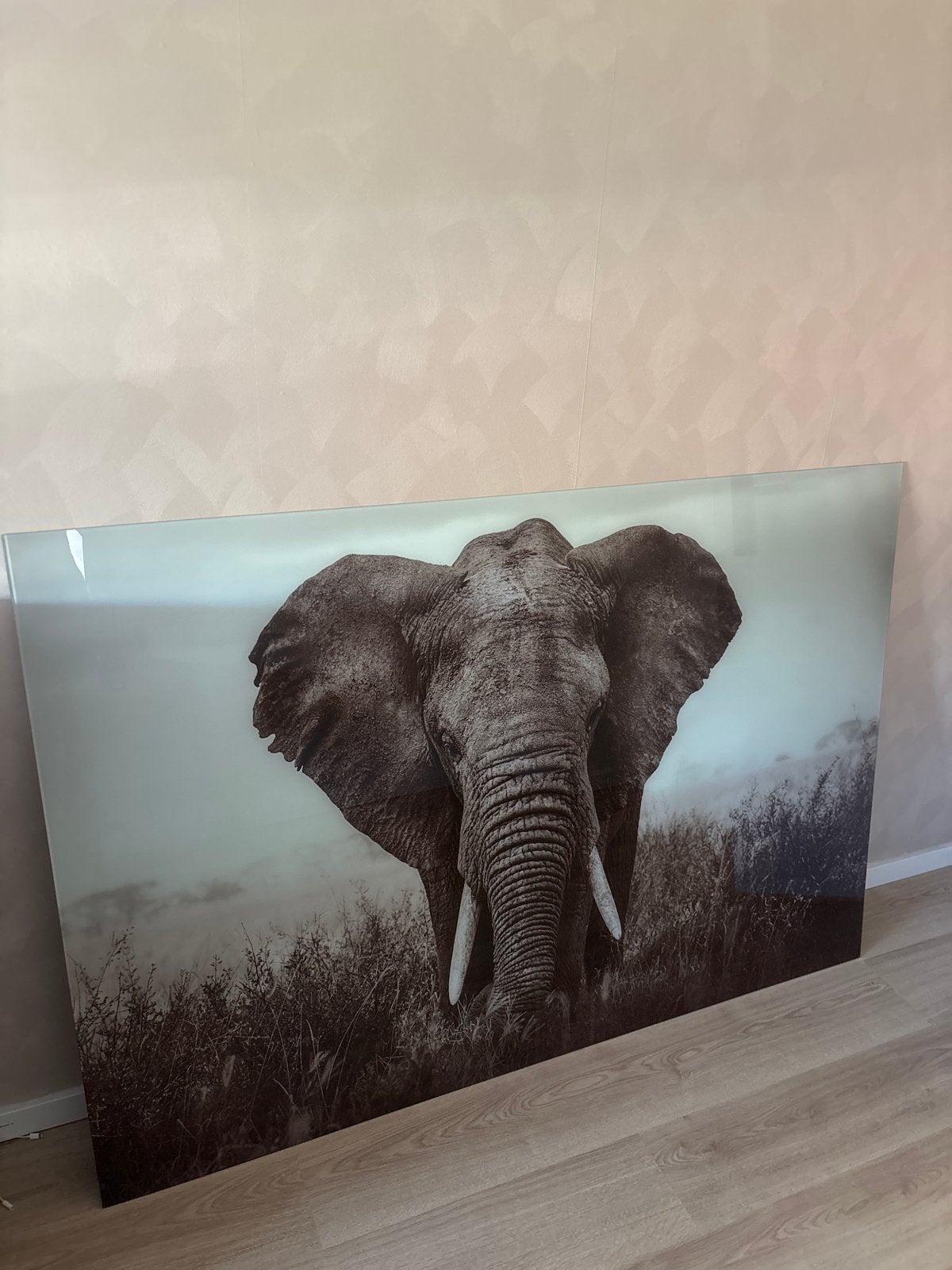 Grote wanddecoratie olifant op glas, Ophalen, 100 tot 125 cm, 75 – 100, Print