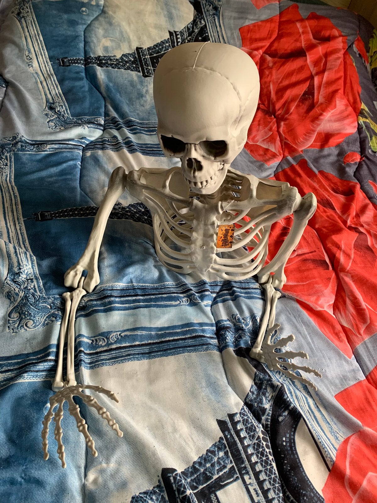 Half skelet, Ophalen of Verzenden, Zo goed als nieuw, Halloween of Griezel