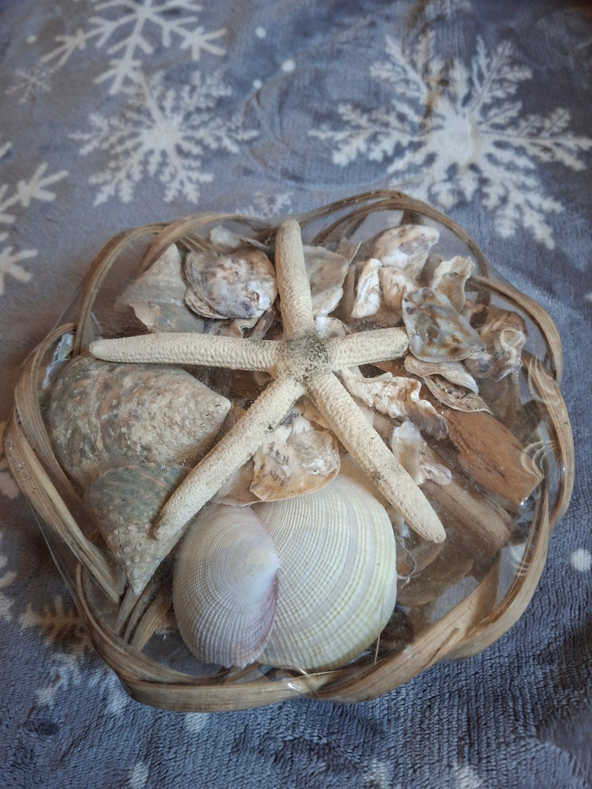 Decoratieve schelpenmand met zeester- Nieuw !, Ophalen, Beige, Nieuw, Mediterraans