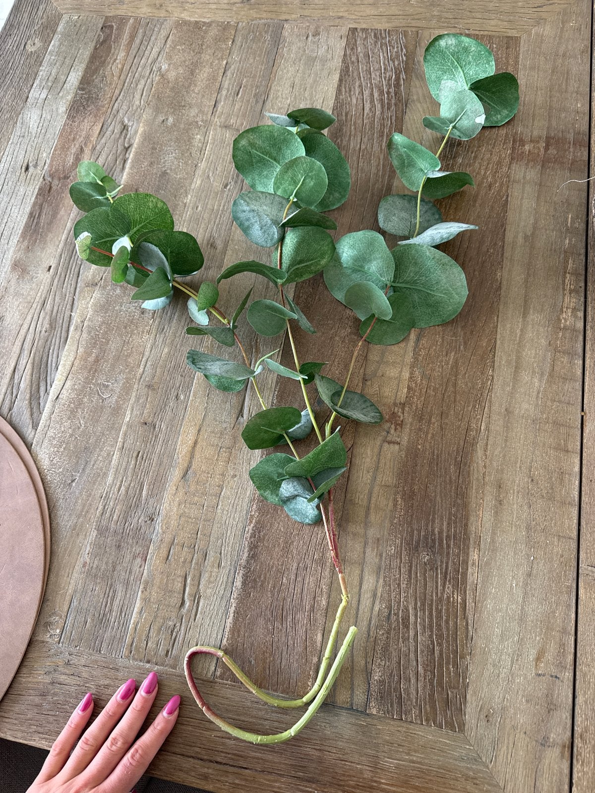 Decoratieve Eucalyptus Takken - Kunstplant, Tuin en Terras, Ophalen of Verzenden, Bloeit niet, Overige soorten, Volle zon