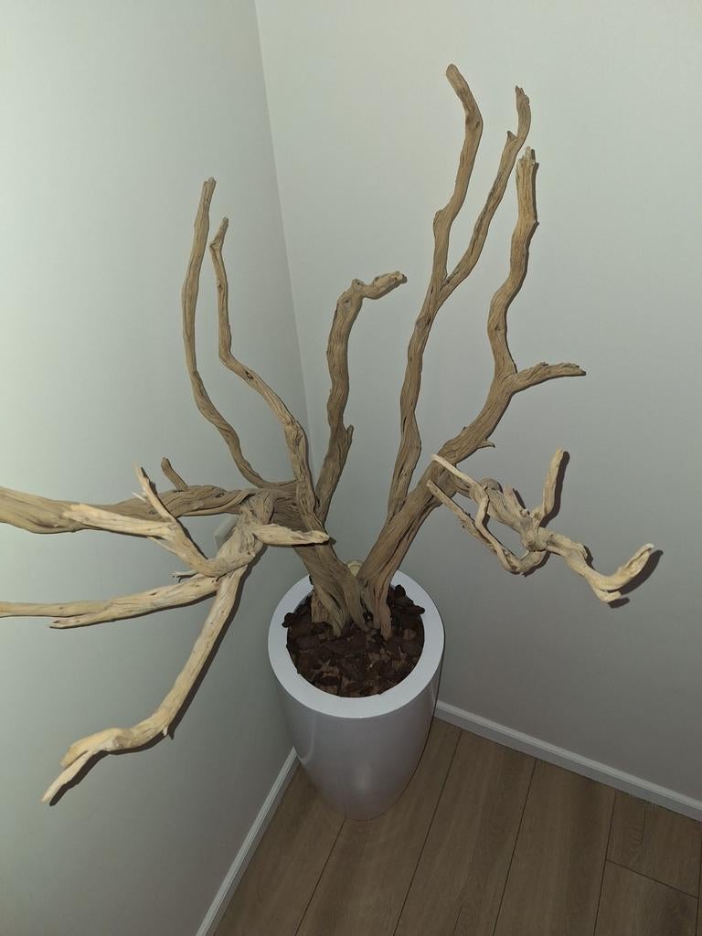 Ghostwood takken in Eric Kuster stijl, Huis en Inrichting, Woonaccessoires | Overige, Zo goed als nieuw, Hout, Beige, Overige stijlen
