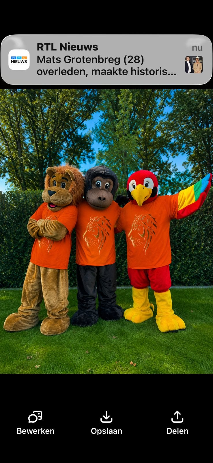 EK / WK oranje mascotte leeuw Holland 25 euro per dag enz, Ophalen of Verzenden, Zo goed als nieuw, Overige