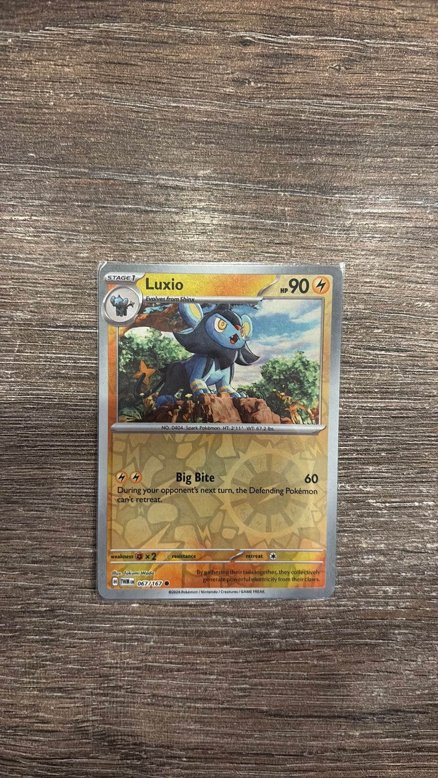 TWM Luxio 067/167 Reverse holo, Ophalen of Verzenden, Zo goed als nieuw