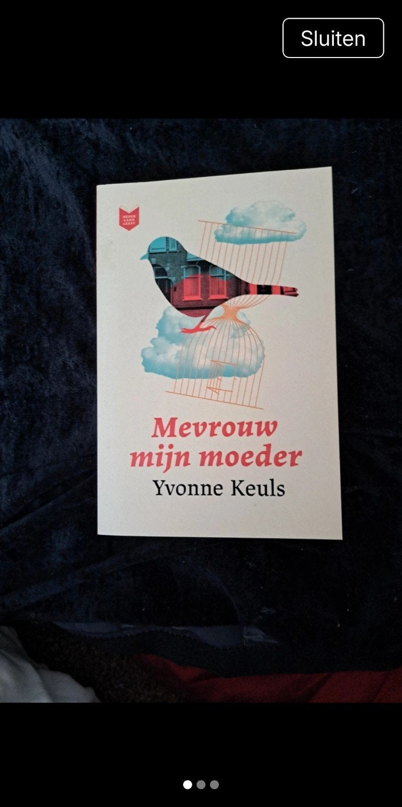 Mevrouw mijn moeder - Yvonne Keuls (Nederland Leest), Ophalen of Verzenden, Zo goed als nieuw, Yvonne Keuls, Nederland
