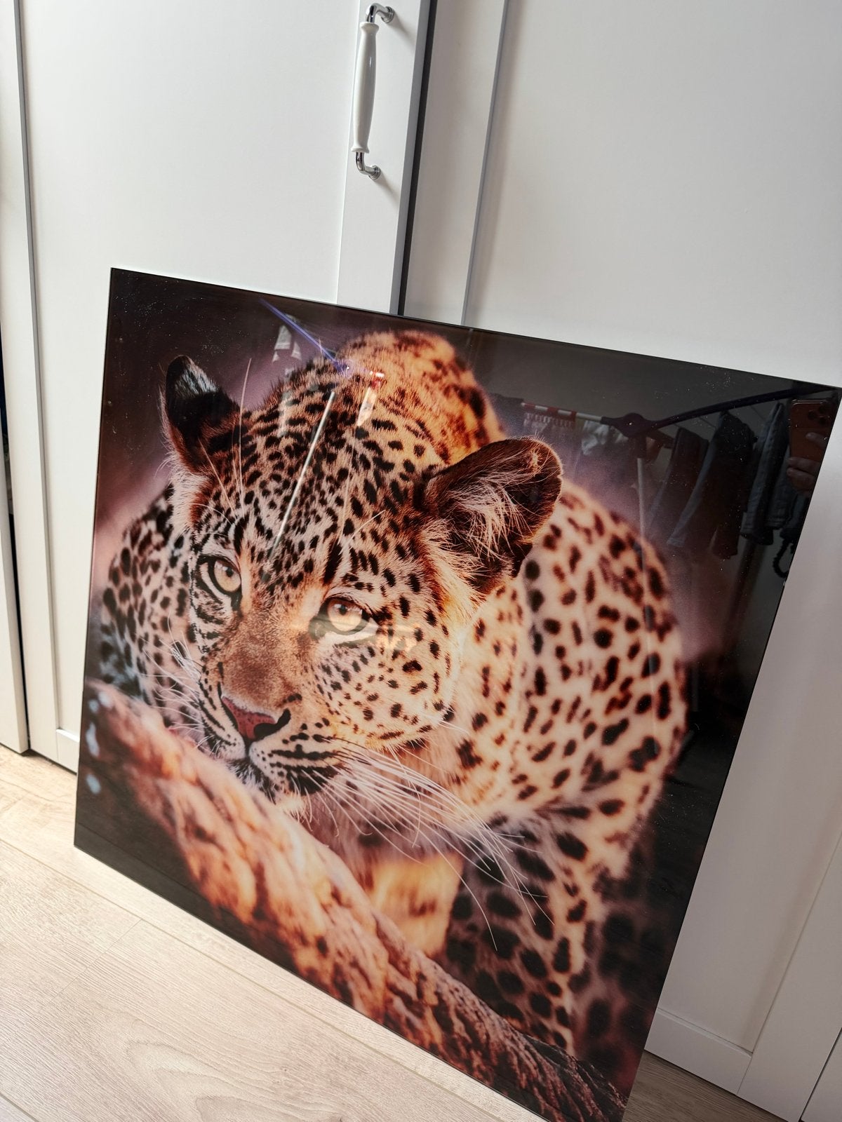 Prachtige luipaard print op glas, Ophalen, 75 tot 100 cm, 75 – 100, Print
