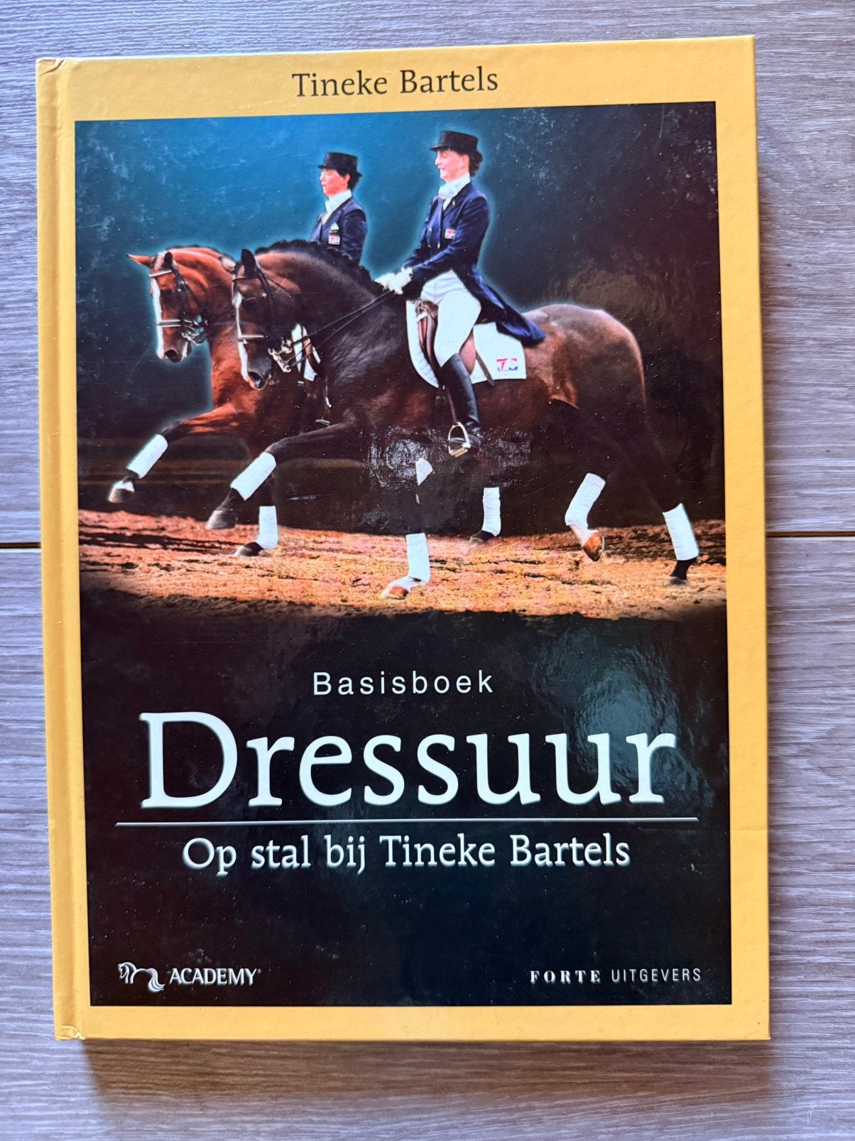 Basisboek Dressuur – Op stal bij Tineke Bartels, Ophalen of Verzenden, Zo goed als nieuw, Paarden of Pony's