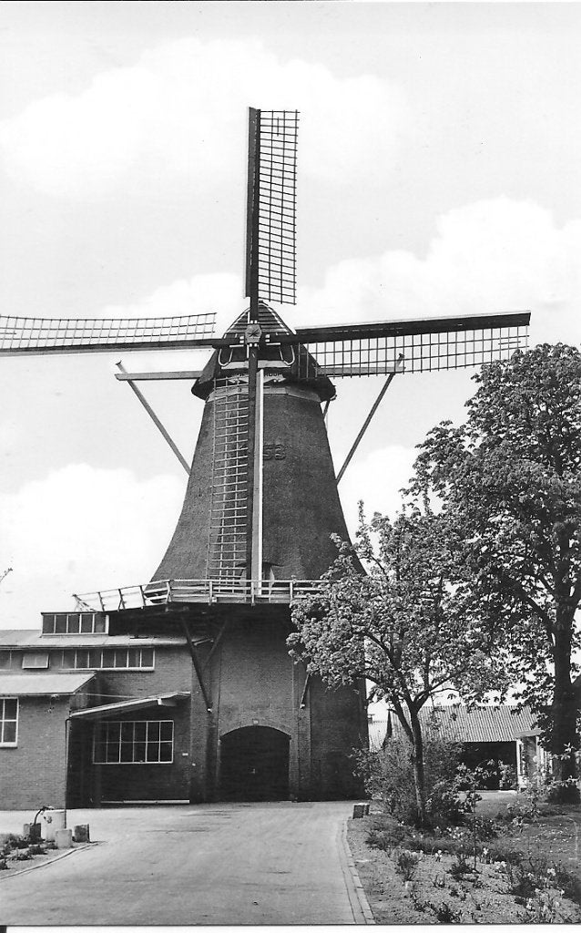 Oude Ansichtkaart Schutten Korenmolen De Hoop 1976, Ophalen of Verzenden, 1960 tot 1980, Ongelopen, Zeeland
