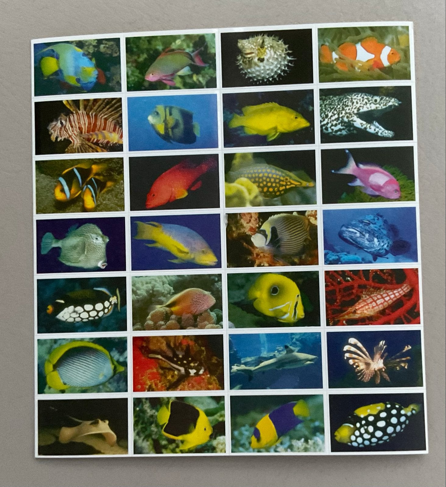 Vintage Stam Serie 34 Exotische Vissen beloningsStickers, Ophalen of Verzenden, Nieuw, Meerdere stickers