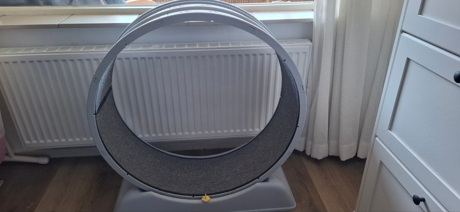 loopwiel, looprat voor katten, konijnen, Ophalen, Overig speelgoed