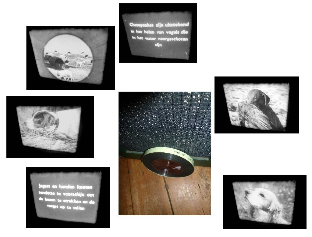 16mm film Jachthonden - oude jaren 50 doc. - silent -, Audio, Tv en Foto, Filmrollen, Ophalen of Verzenden, 16mm film