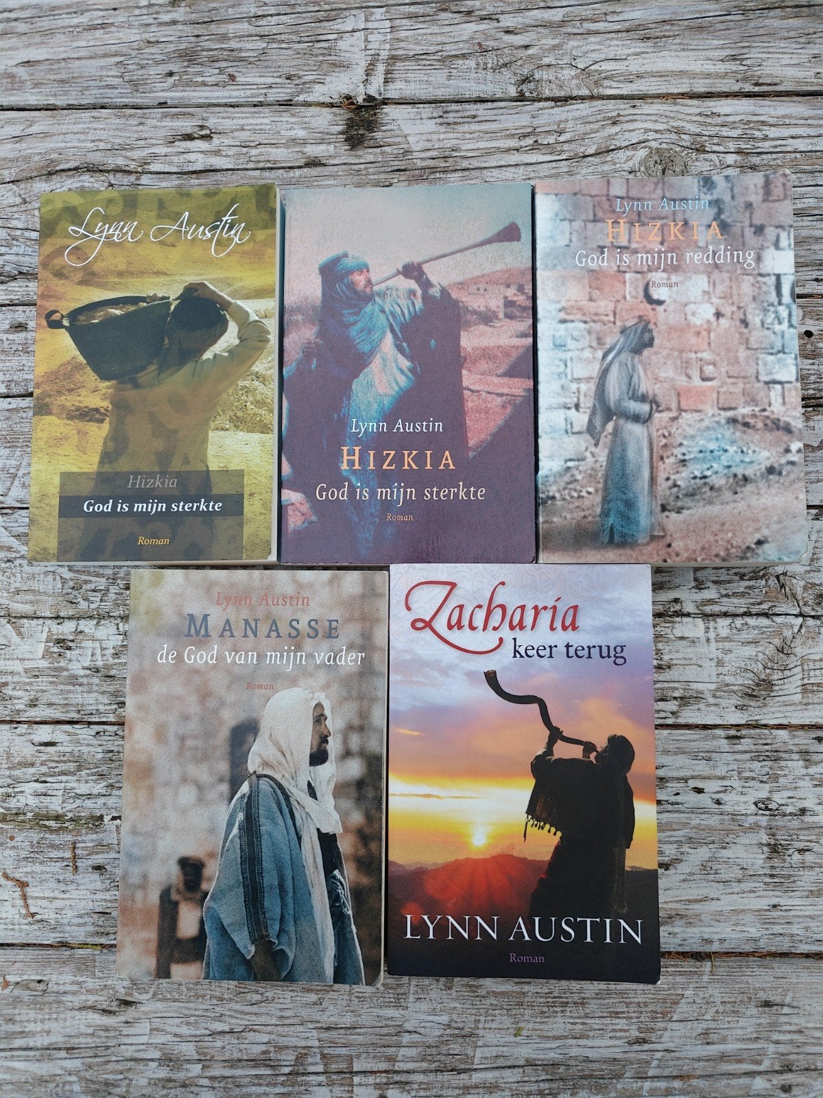 5 Historische romans van Lynn Austin.